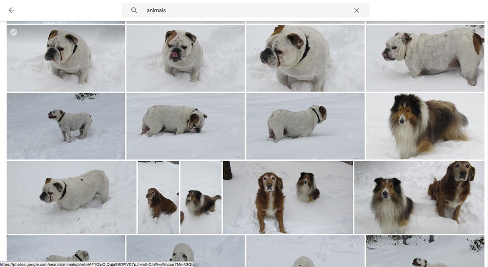 Google Photos Discovery