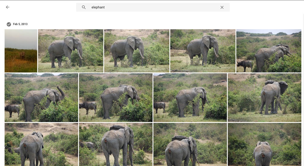 Google Photos Discovery